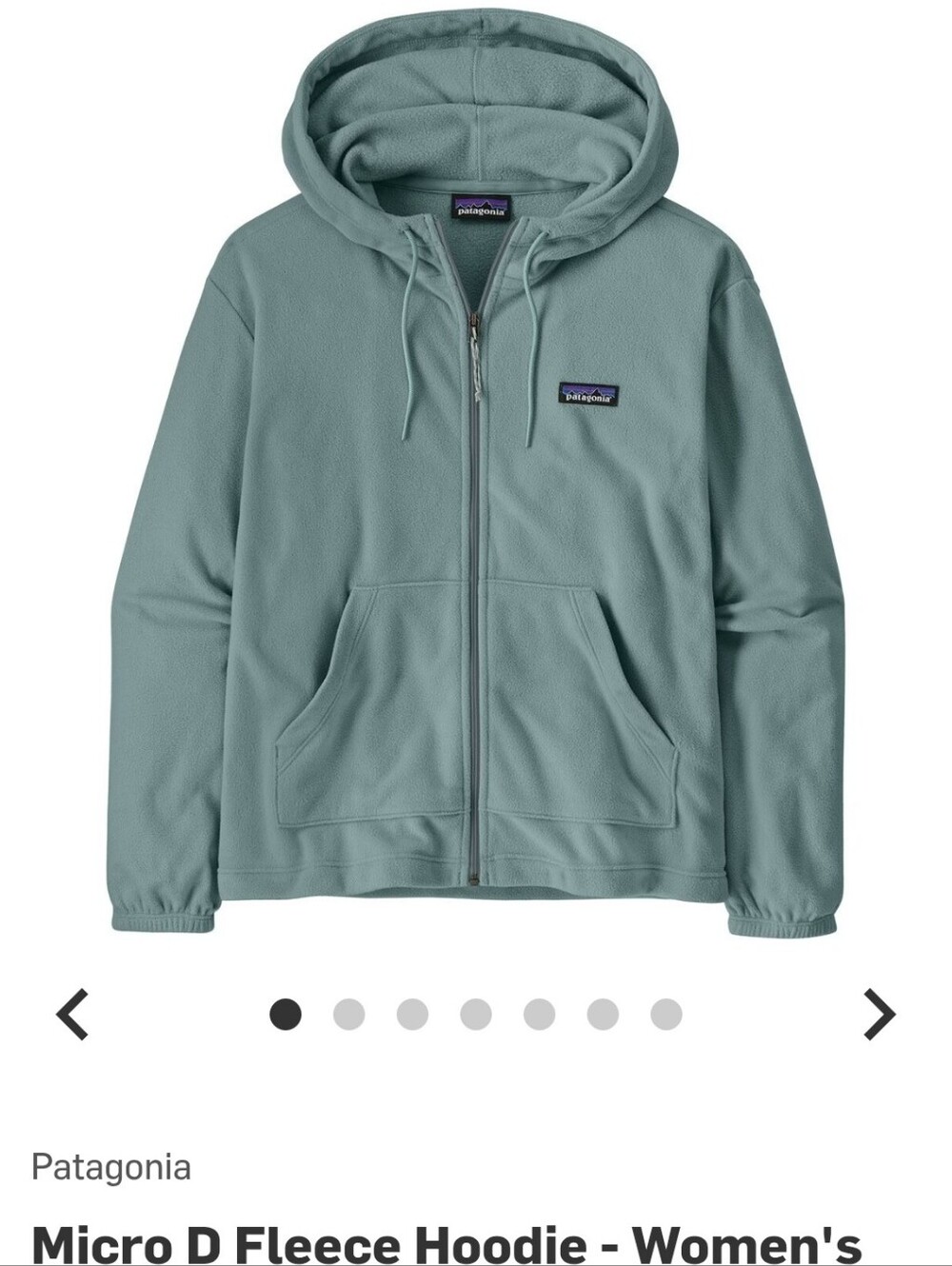 Patagonia Micro D FLeece